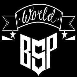 Cover BSP - ты просто верь мне (2026)