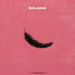 Cover Balsam - Я, падаю в тебе Мʼяко