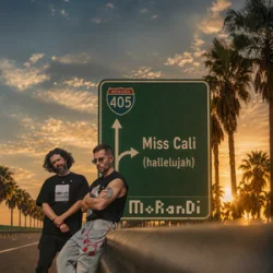 Cover Morandi - Miss Cali (Hallelujah)