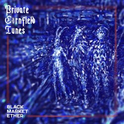 Cover Private Cornfield Tunes - Narcotic Fog Syndicates
