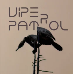 Cover Viper Patrol - What Is (Original Mix)