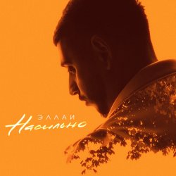 Cover Эллаи - Насильно