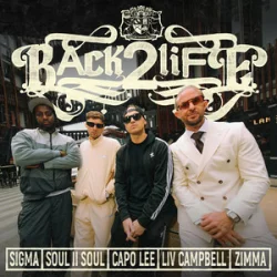 Cover Sigma & Soul II Soul & Capo Lee & Zimma - BACK 2 LIFE (feat. Liv Campbell)