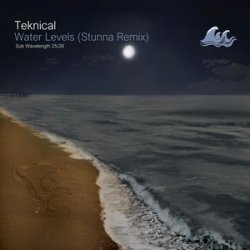 Cover Teknical - Water Levels (Stunna Remix)