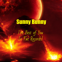 Cover The Best of You So Fat Records!