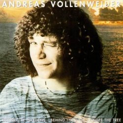 Cover Andreas Vollenweider - Skin and Skin