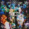 Patafora - Soil Climbers