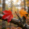Cover Калымщик - Leaves Калымщик - Leaves