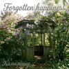 Cover Калымщик - Forgotten happiness Калымщик - Forgotten happiness