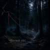Cover Ведьмина гора - Чёрный лес Ведьмина гора - Чёрный лес