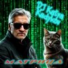 Cover DJ Katya Kadykov - Матрица (minatrix_FM_edition) DJ Katya Kadykov - Матрица (minatrix_FM_edition)
