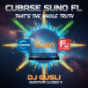 Cover DJ GUSLI - Хочешь знать правду DJ GUSLI - Хочешь знать правду