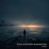 Cover ViTaLiKuS - COLD EUPHORIA (Extended Mix) ViTaLiKuS - COLD EUPHORIA (Extended Mix)