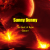 Sunny Bunny - The Best of Ryan Ganar!