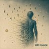 Cover ViTaLiKuS - SONDER (Extended Mix) ViTaLiKuS - SONDER (Extended Mix)