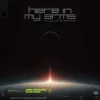 Armin van Buuren & Silver Panda - Here In My Arms (Enjoy The Silence)