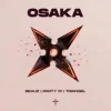 Cover BEAUZ & Party Pi & triangel - OSAKA BEAUZ & Party Pi & triangel - OSAKA