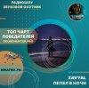 Cover ZAVYAL - Пепел в ночи ZAVYAL - Пепел в ночи