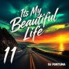 DJ FORTUNA - Its My Beautiful Life 11