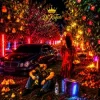 DJ KAIFAR - В садах