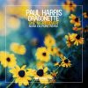 Cover Paul Harris, Dragonette - One Night Lover (Nora En Pure Instrumental Club Mix) Paul Harris, Dragonette - One Night Lover (Nora En Pure Instrumental Club Mix)