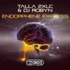 Talla 2XLC & DJ Robyn - Endorphene Express (Extended Mix)