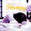 Cover EnigmaBird - Sleepy EnigmaBird - Sleepy