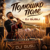 Cover DJ GUSLI - Полюшко-поле DJ GUSLI - Полюшко-поле