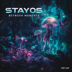Cover Stayos - Tov Li (Original Mix)