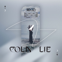 Cover VUDOO - Cold Lie (EvilanDark Remix)