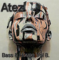 Cover Bass House Vol 8.