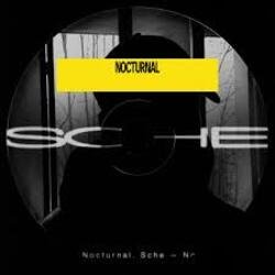 Cover Sche - N Y 0.2