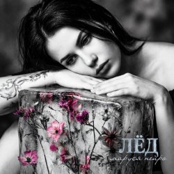 Cover Лёд