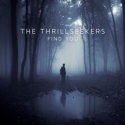 Cover The Thrillseekers - Find You (Radio Edit)