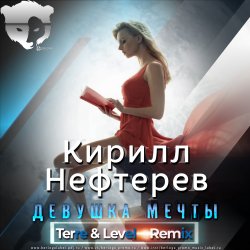 Cover Девушка Мечты  (Terre & Level Remix )