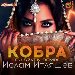 Cover Кобра (DJ S7ven Radio Edit)