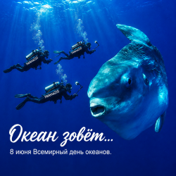 Cover Helena210 - Океан 🌊