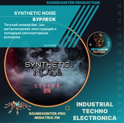Cover Synthetic Noise - Бурлеск