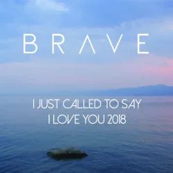 Cover Brave - I Just Called To Say I Love You