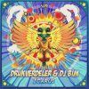 Cover Drukverdeler & DJ Bim - Icarus (Original Mix) Drukverdeler & DJ Bim - Icarus (Original Mix)