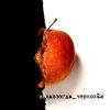 Чернозем - Над заборами