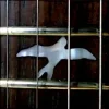 Cover Caged Rhythm - The Return (Original Mix) Caged Rhythm - The Return (Original Mix)