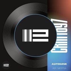 Cover Igor Pumphonia & Anita Lav - Automne