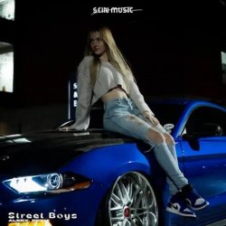 Cover ALEEX, DEENI - Street Boys