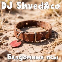 DJ Shved&co - Бездомные псы