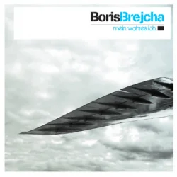 Cover Boris Brejcha - Flying Bird