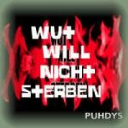 Cover Rammstein - Wut Will Nicht Sterben