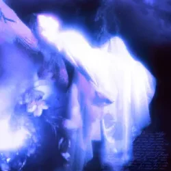 Cover bulletrain - innerisland