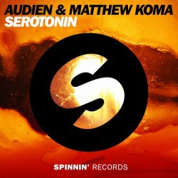 Cover Audien & Matthew Koma - Serotonin (Original Mix)