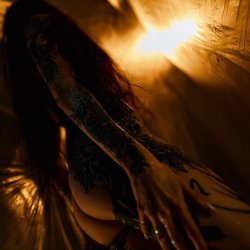 Cover Timagor - The twilight